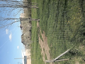 Vând teren. Loc Moșoaia str. Olteni. 1300mp. Poziție deosebita la strada deschidere 45m.utilitati. - imagine 2