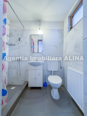 Spatiu 30 mp in Mun. Deva, Jud. HD, zona ultracentrala, Bld. 1 Decembrie 1918, parter. - imagine 12