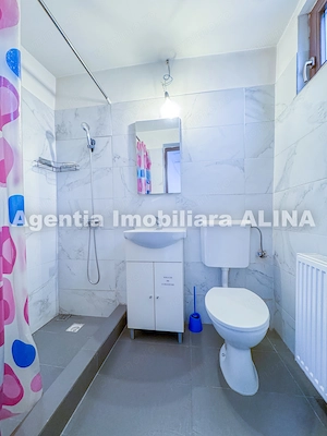 Spatiu 30 mp in Mun. Deva, Jud. HD, zona ultracentrala, Bld. 1 Decembrie 1918, parter. - imagine 13