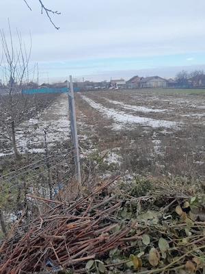 Vand teren intravilan 1340 mp, Ianoșda - imagine 3