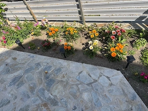 Cazare Valea Doftanei- cabana integrala cu 4 dormitoare, 5 bai, living spatios, terasa, foisor - imagine 2