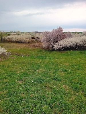 De vânzare teren fânețe 