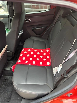 Dacia Spring Extreme 2023 65 CP - Incarcare rapida - imagine 6