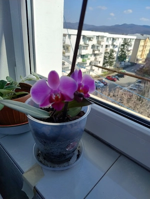 Garsoniera renovata complet confort 1 decomandata - imagine 9