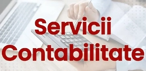 Servicii specializate de contabilitate 