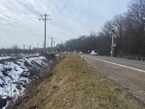 De vanzare 3800 m2 teren extravilan la DN 72A  - imagine 3