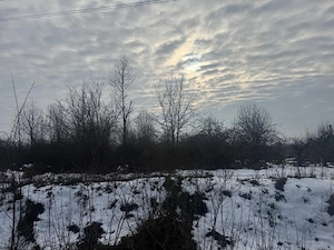 De vanzare 3800 m2 teren extravilan la DN 72A  - imagine 2