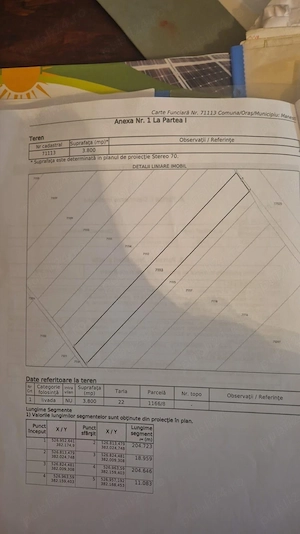 De vanzare 3800 m2 teren extravilan la DN 72A  - imagine 4