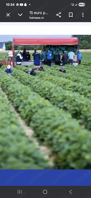 Contractam   personal  pentru AGRICULTURA  SI  CONSTRUCTII calificat  si  necalificat 