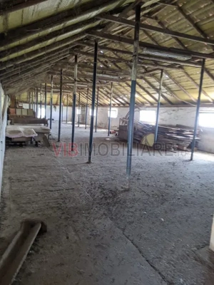 Ferma Zootehnică Mixtă – Cernateaz, Timiș | 9,5 ha | Hale Moderne, Casă 2019, Utilități Industriale - imagine 4