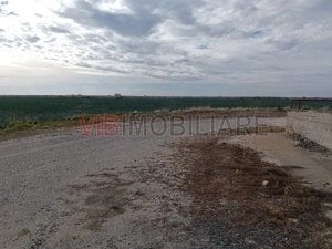 Ferma Agricolă 1.350 Hectare – Grad de Comasare 96–97%, Chișineu Criș, Județul Arad - imagine 11