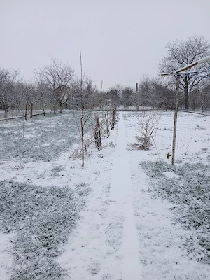 Casă de vânzare P+M, Ineu, județul Arad  - imagine 3