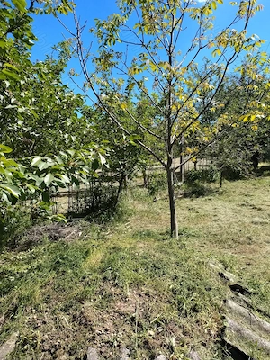 Teren pentru constructii  zona DEALURI  ORADEA - imagine 3