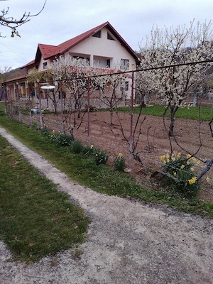 Casa tip S P M - imagine 5