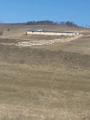 Vand teren cu saivan + loc de casa