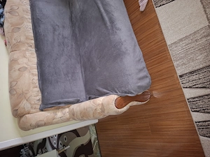  URGENT!!Ofer gratuit o canapea extensibila si un fotoliu!!