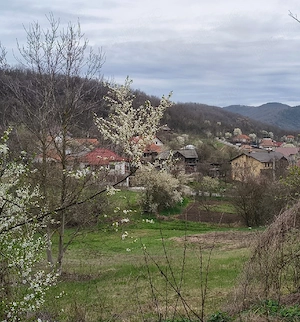 Teren Râmnicu Vâlcea  - imagine 2