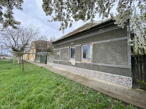 Casa si Teren generos 2.769 mp   Sanmartinu Maghiar - imagine 2