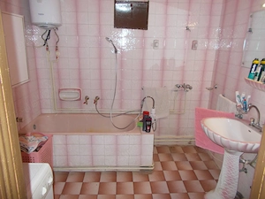 Casa, hala, locuinta sau afacere, Padureni, Timis, comision=0% - imagine 9