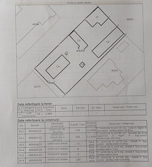 Casa, hala, locuinta sau afacere, Padureni, Timis, comision=0% - imagine 2