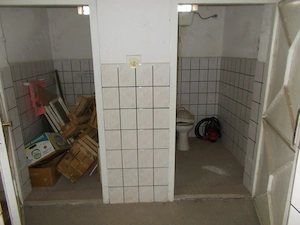 Casa, hala, locuinta sau afacere, Padureni, Timis, comision=0% - imagine 16