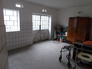 Casa, hala, locuinta sau afacere, Padureni, Timis, comision=0% - imagine 17