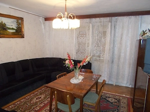 Casa, hala, locuinta sau afacere, Padureni, Timis, comision=0% - imagine 6