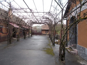 Casa, hala, locuinta sau afacere, Padureni, Timis, comision=0% - imagine 20