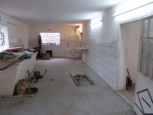 Casa, hala, locuinta sau afacere, Padureni, Timis, comision=0% - imagine 18