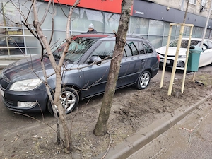 Skoda Fabia 2 Greenline Combi - imagine 10