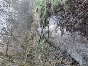 Vând casă și terenul aferent de 2 hectare intravilan
