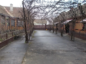 Casa, hala, locuinta sau afacere, Padureni, Timis, comision=0% - imagine 10