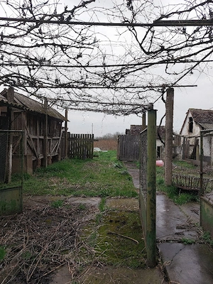 Casă de vânzare cu teren generos în Belfir - imagine 5