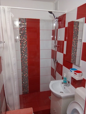 Închiriere Apartament 2 camere. - imagine 5