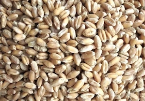 Vand grau - productie proprie