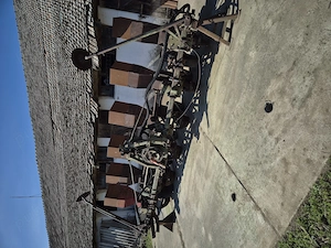 Vand semanatoare pe 6 randuri  - imagine 2