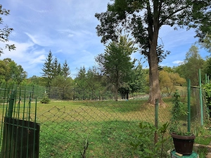 Teren intravilan de vanzare Provita de jos