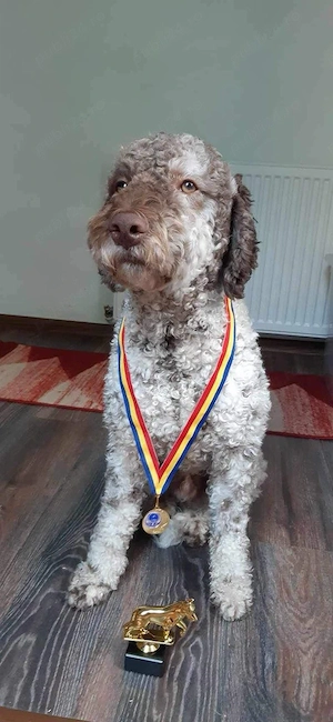 Catei pentru trufe  - imagine 4