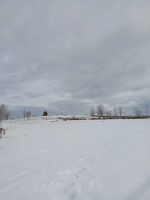 Teren de vânzare intravilan.