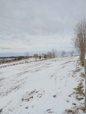 Teren de vânzare intravilan. - imagine 3