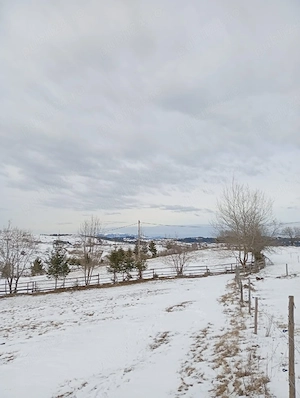 Teren de vânzare intravilan. - imagine 2