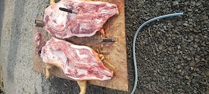 Vand porci  - imagine 3