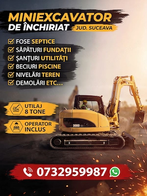 Prestez servicii cu miniexcavator 