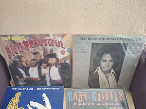 Vinzare discuri Vinil