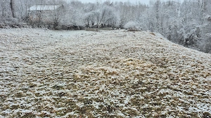 Proprietar, vand teren intravilan, PH, Secaria, 9.830 mp - imagine 2