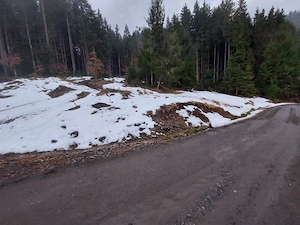 Teren extravilan Colibița 