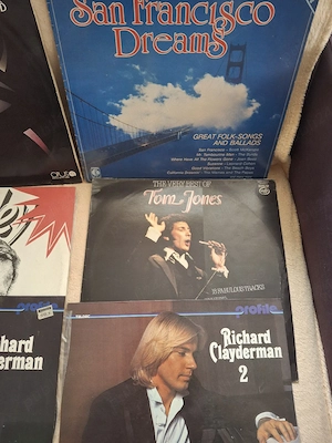 Vinzare discuri vinil