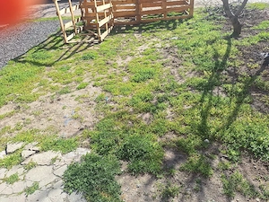 Ap cu 3 camere de vanzare,zona Traian - imagine 8