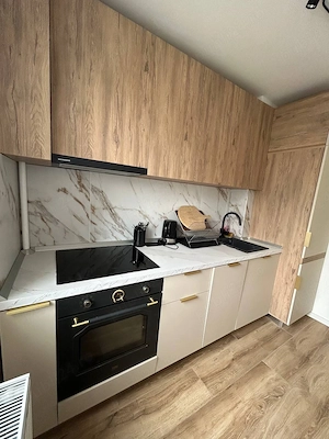 Bd. Dimitrie Cantemir 4 | Unirii | Pet Friendly | 2 Camere | 700 Euro - imagine 5