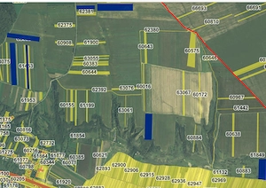 Teren extravilan, 6,5 ha - Urechesti Jud Bacău - 52.000 EUR - imagine 5
